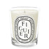 DIPTYQUE candles